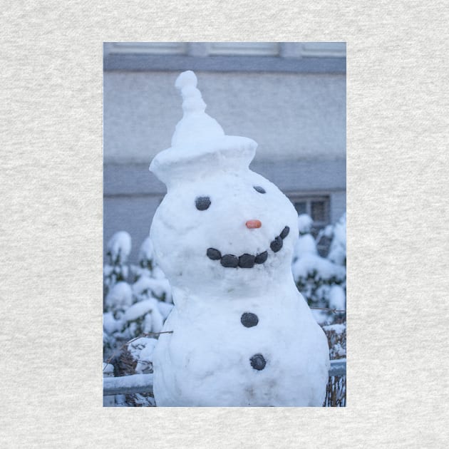 Snowman by Kruegerfoto